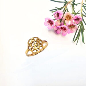 Hello Indigo Halo Online Store Seed of Life Round Ring (Brass)