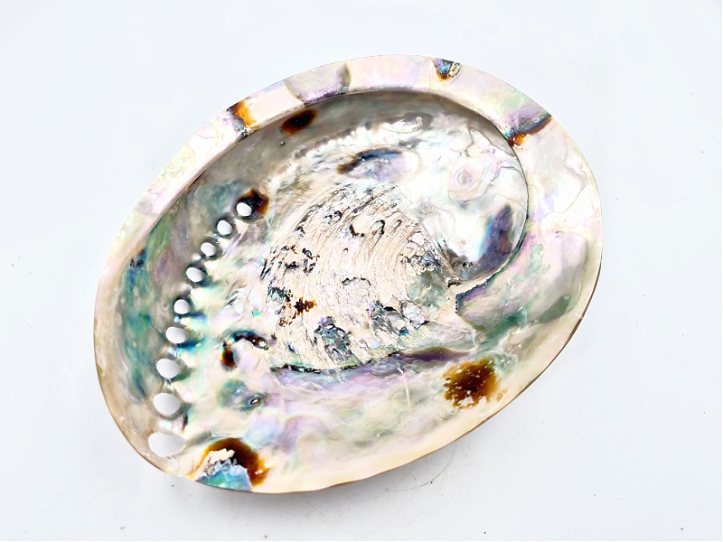 Abalone Shell For Smudging Large Abalone Shell For Smudging Large